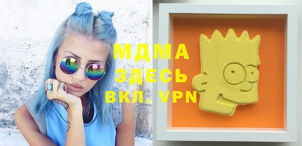 индика Арсеньев