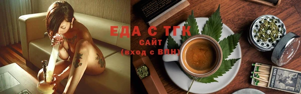 индика Арсеньев