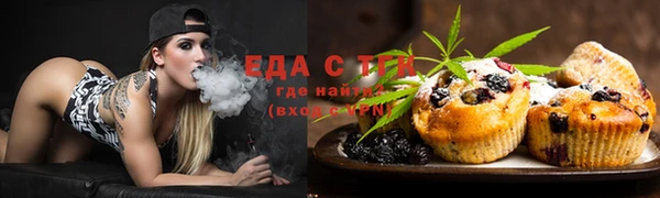 индика Арсеньев