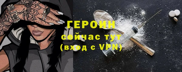 индика Арсеньев