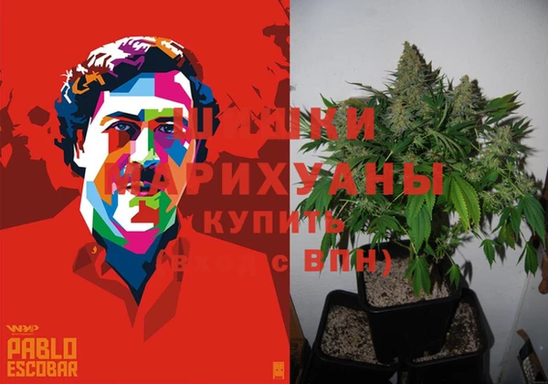 индика Арсеньев
