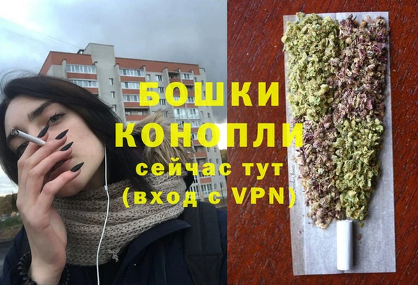 индика Арсеньев