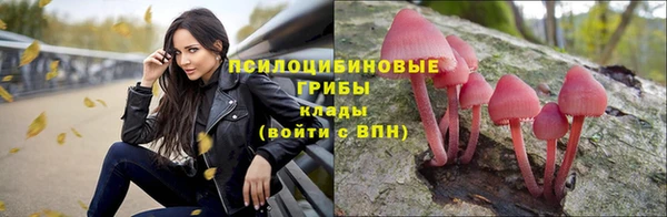 индика Арсеньев